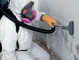 Trusted Shawneeland, VA Mold Removal Experts